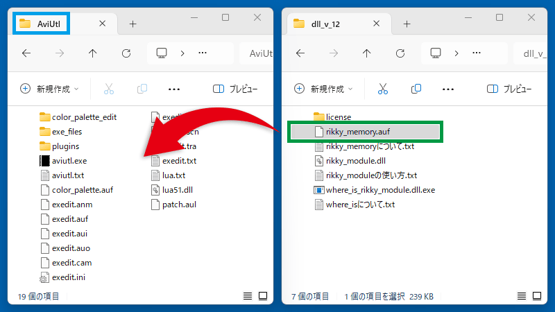 AviUtl rikkymodule&memory インストール
