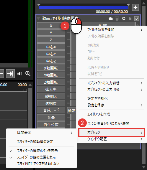 AviUtl2 オブジェクト設定のオプション